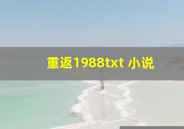 重返1988txt 小说